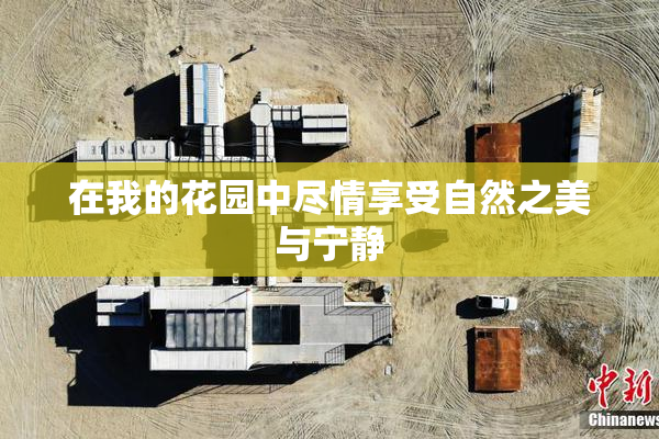在我的花园中尽情享受自然之美与宁静