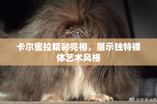 卡尔蜜拉精彩亮相，展示独特裸体艺术风格
