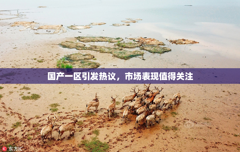 国产一区引发热议，市场表现值得关注