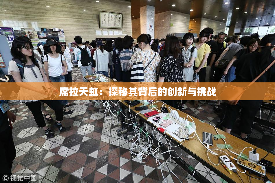 席拉天虹：探秘其背后的创新与挑战