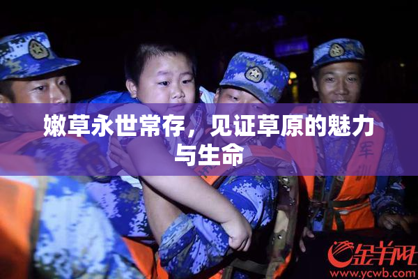 嫩草永世常存，见证草原的魅力与生命