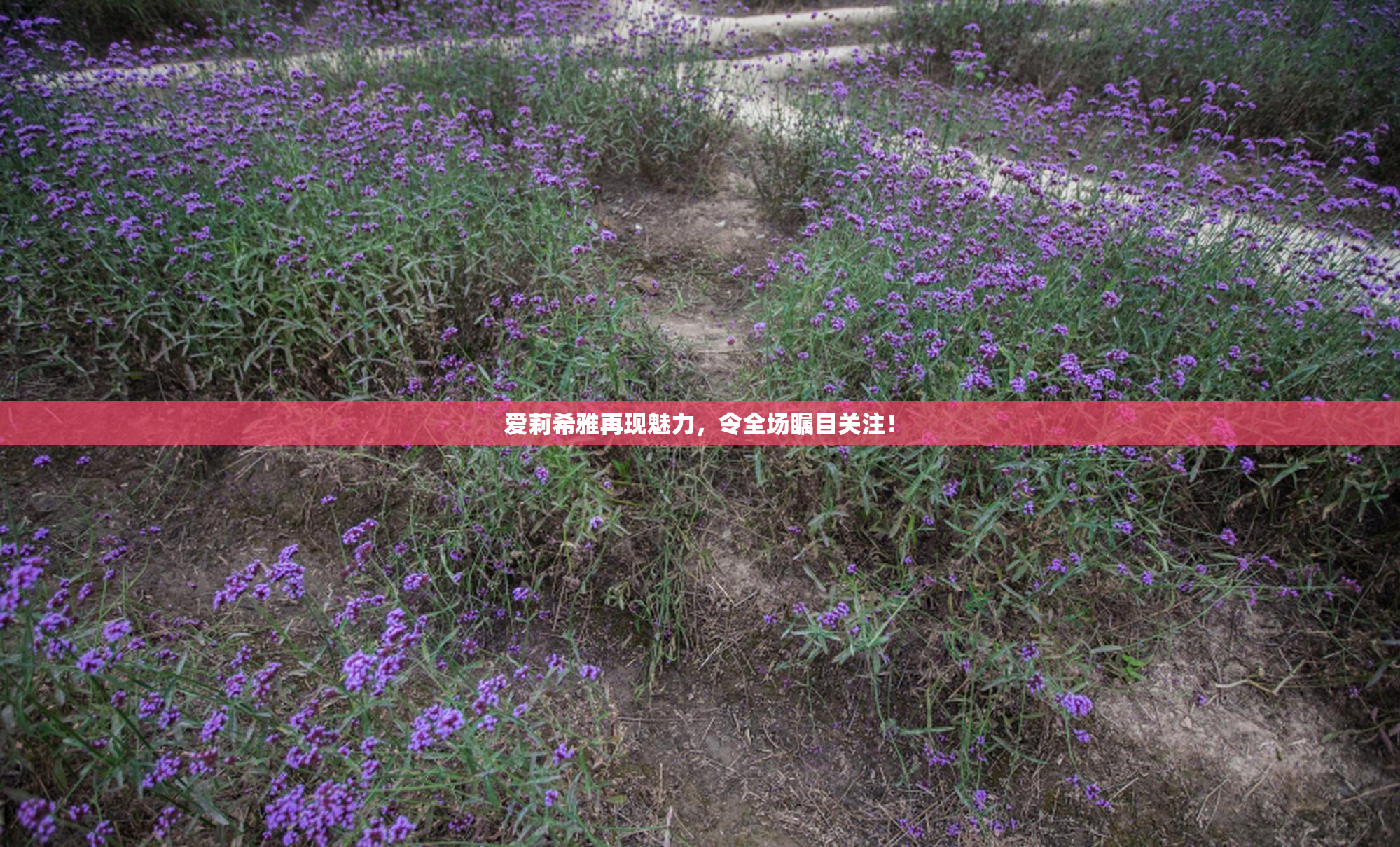 爱莉希雅再现魅力，令全场瞩目关注！