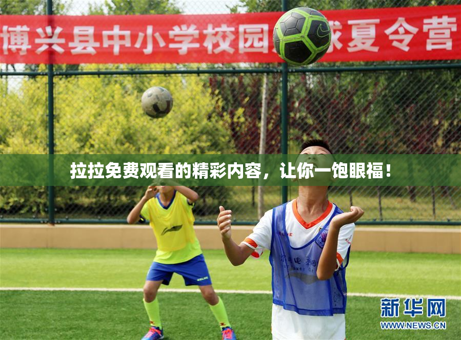 拉拉免费观看的精彩内容，让你一饱眼福！