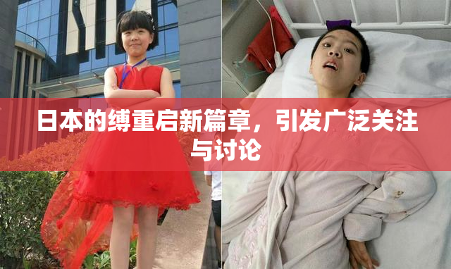日本的缚重启新篇章，引发广泛关注与讨论