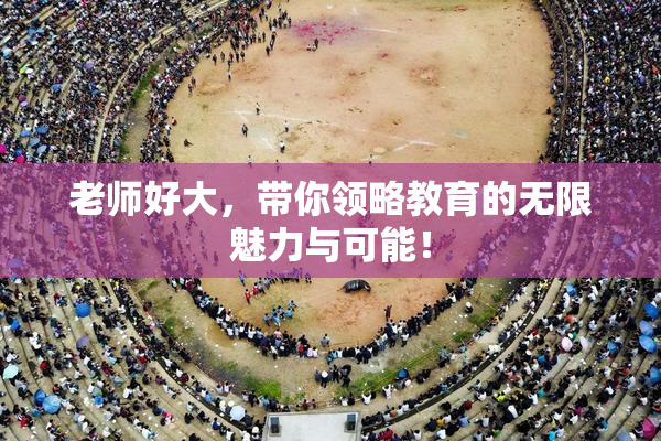 老师好大，带你领略教育的无限魅力与可能！