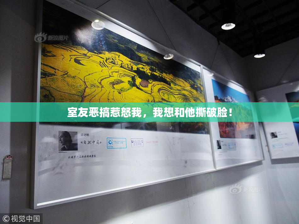 室友恶搞惹怒我，我想和他撕破脸！