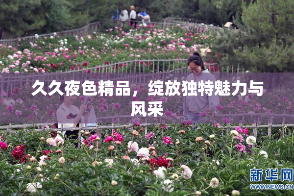 久久夜色精品，绽放独特魅力与风采