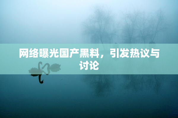 网络曝光国产黑料，引发热议与讨论