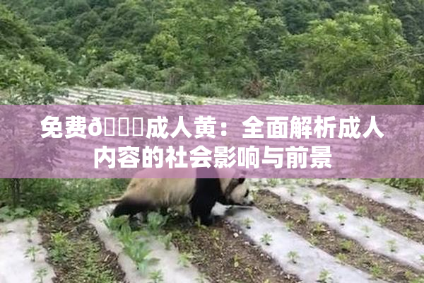 免费🔞成人黄：全面解析成人内容的社会影响与前景