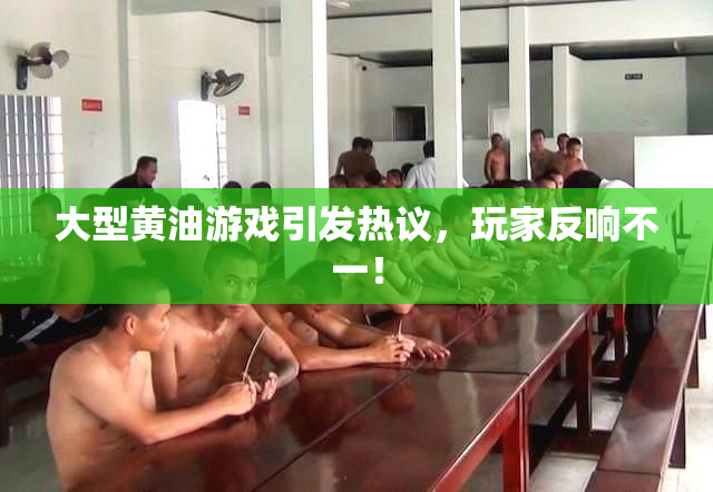 大型黄油游戏引发热议，玩家反响不一！