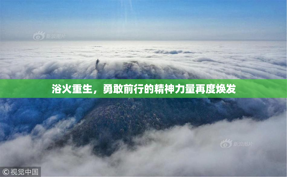 浴火重生，勇敢前行的精神力量再度焕发