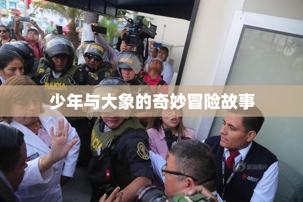 少年与大象的奇妙冒险故事
