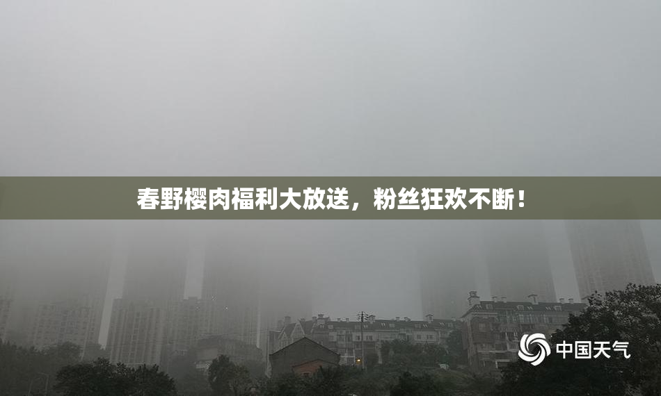 春野樱肉福利大放送，粉丝狂欢不断！