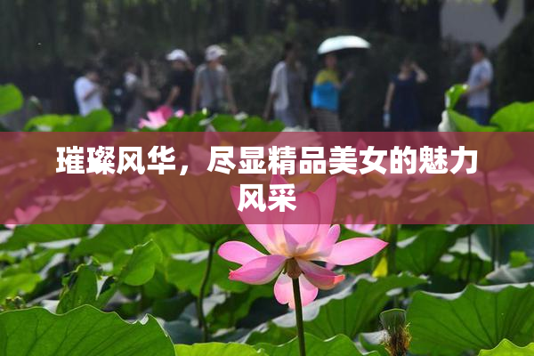 璀璨风华，尽显精品美女的魅力风采