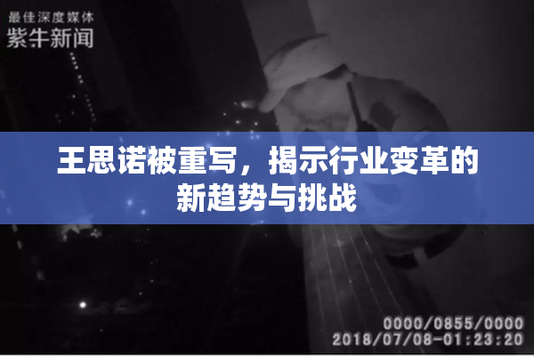王思诺被重写，揭示行业变革的新趋势与挑战