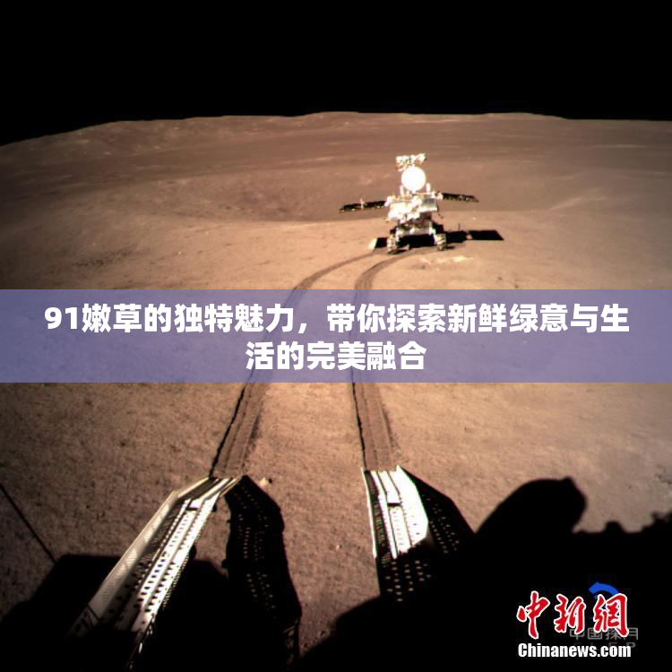 91嫩草的独特魅力，带你探索新鲜绿意与生活的完美融合