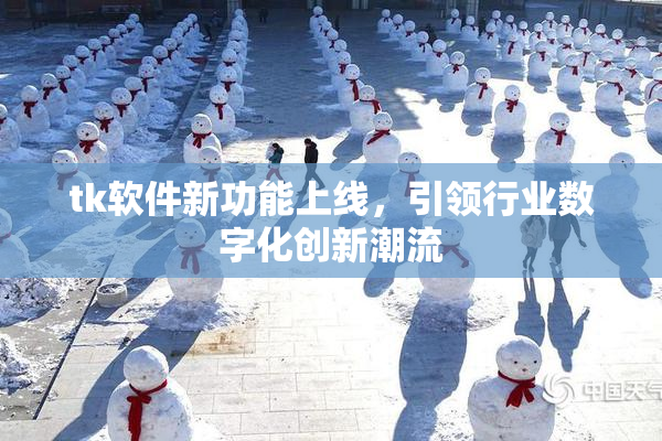 tk软件新功能上线，引领行业数字化创新潮流