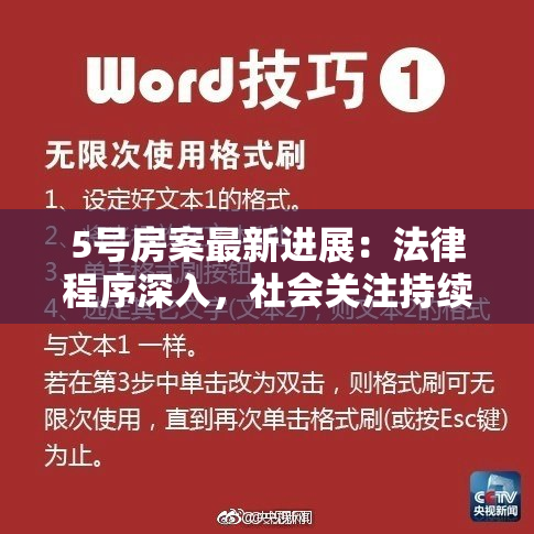 5号房案最新进展：法律程序深入，社会关注持续升温