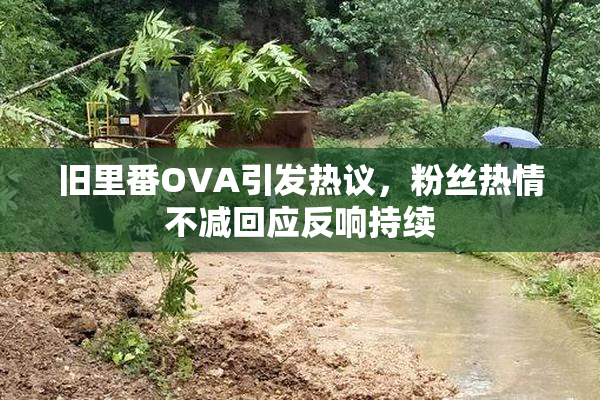 旧里番OVA引发热议，粉丝热情不减回应反响持续