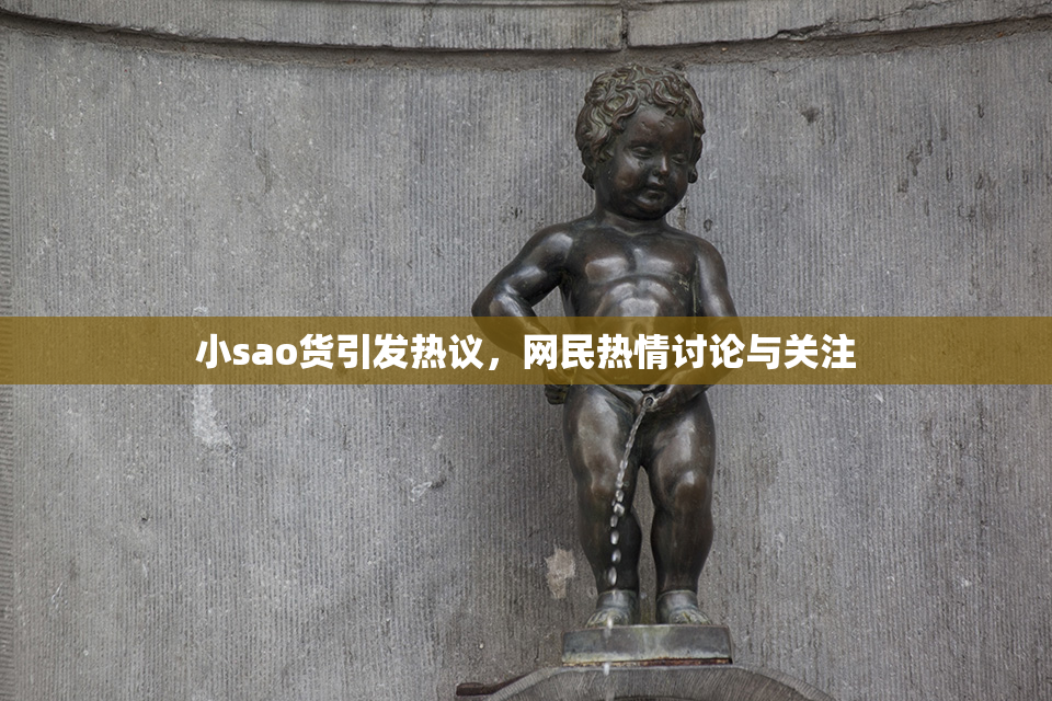 小sao货引发热议，网民热情讨论与关注