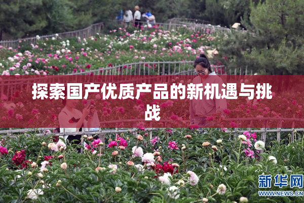探索国产优质产品的新机遇与挑战