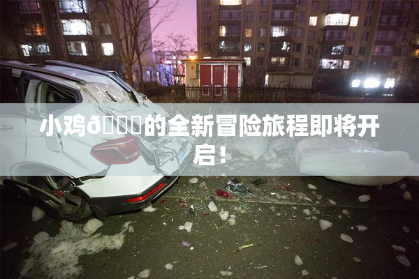 小鸡🐔的全新冒险旅程即将开启！