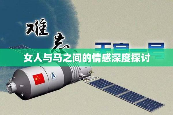 女人与马之间的情感深度探讨