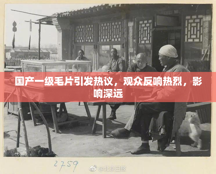 国产一级毛片引发热议，观众反响热烈，影响深远