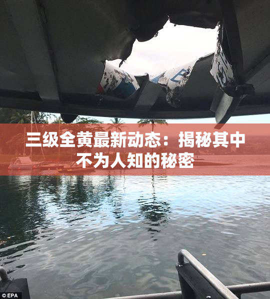 三级全黄最新动态：揭秘其中不为人知的秘密