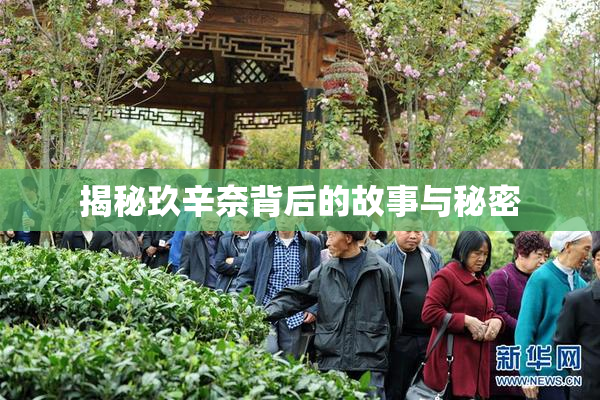 揭秘玖辛奈背后的故事与秘密