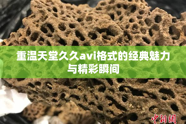 重温天堂久久avi格式的经典魅力与精彩瞬间
