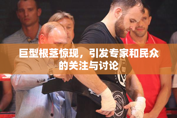 巨型根茎惊现，引发专家和民众的关注与讨论