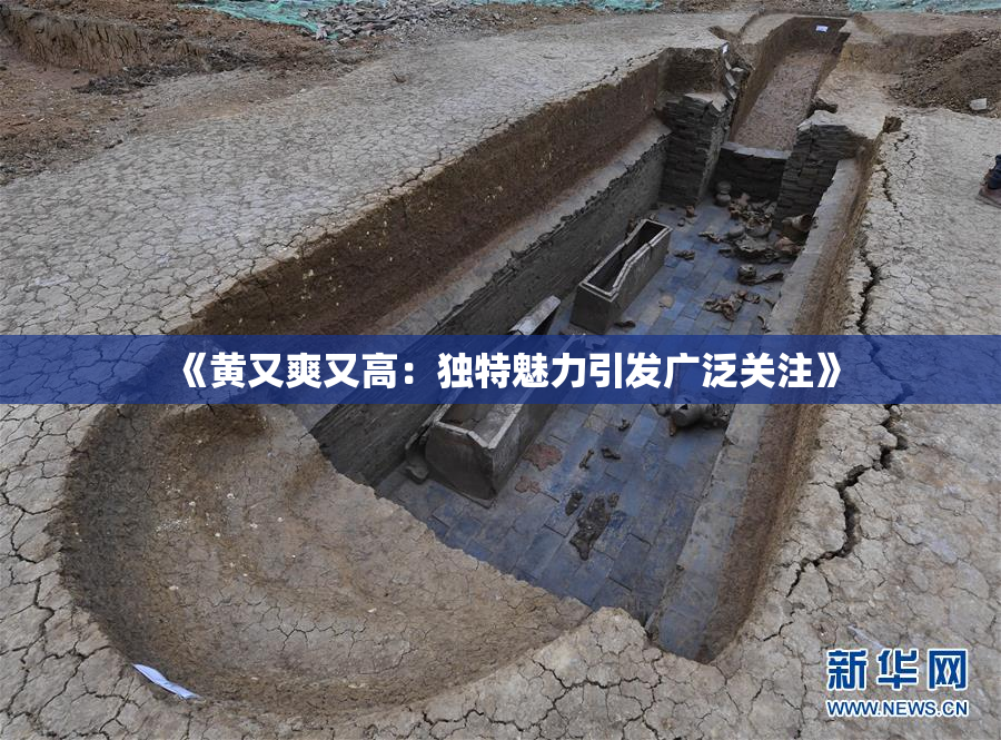 《黄又爽又高：独特魅力引发广泛关注》