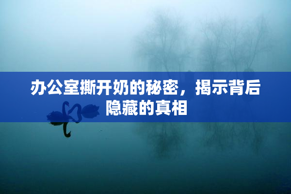 办公室撕开奶的秘密，揭示背后隐藏的真相