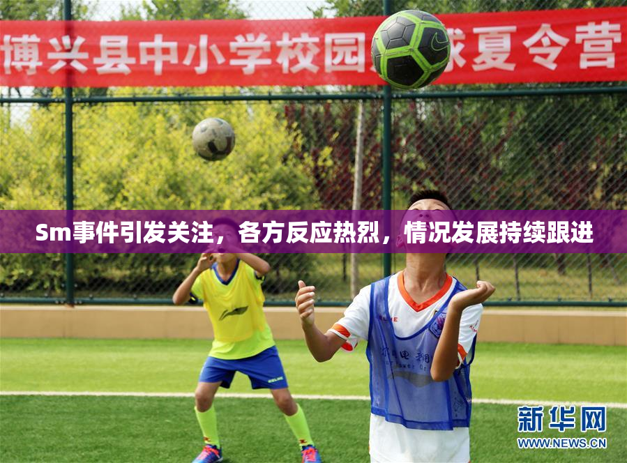 Sm事件引发关注，各方反应热烈，情况发展持续跟进