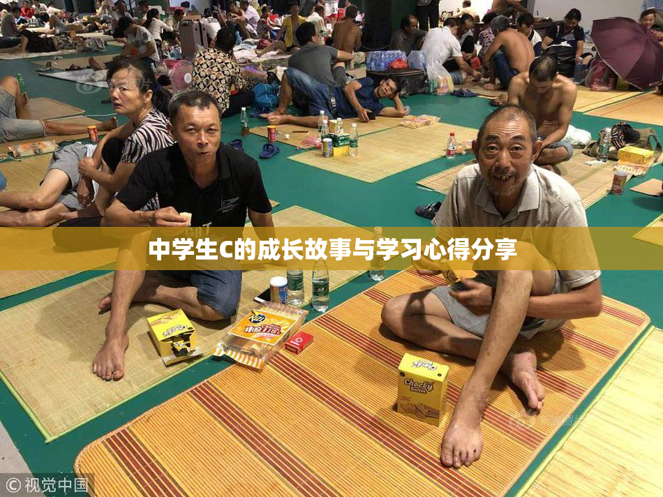 中学生C的成长故事与学习心得分享