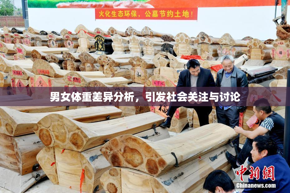 男女体重差异分析，引发社会关注与讨论