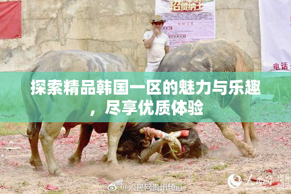 探索精品韩国一区的魅力与乐趣，尽享优质体验