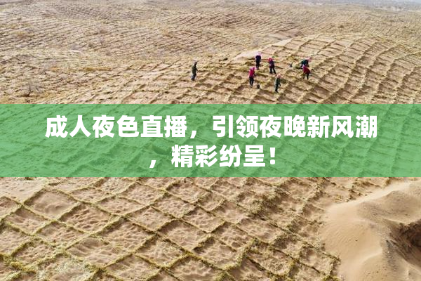 成人夜色直播，引领夜晚新风潮，精彩纷呈！