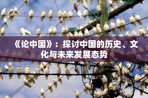 《论中国》：探讨中国的历史、文化与未来发展态势