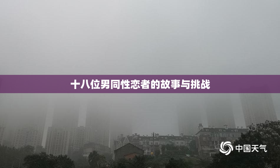 十八位男同性恋者的故事与挑战