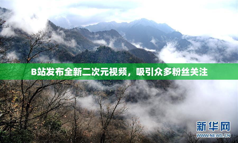 B站发布全新二次元视频，吸引众多粉丝关注