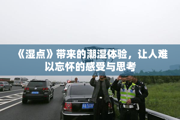 《湿点》带来的潮湿体验，让人难以忘怀的感受与思考