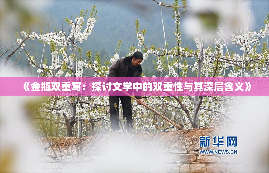 《金瓶双重写：探讨文学中的双重性与其深层含义》