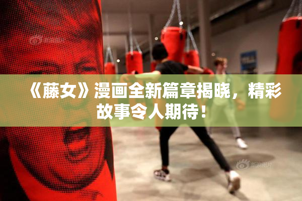 《藤女》漫画全新篇章揭晓，精彩故事令人期待！