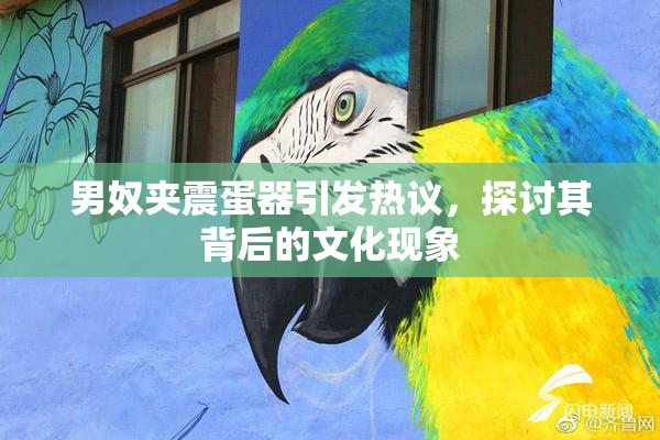 男奴夹震蛋器引发热议，探讨其背后的文化现象