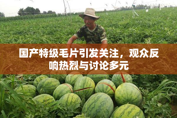 国产特级毛片引发关注，观众反响热烈与讨论多元