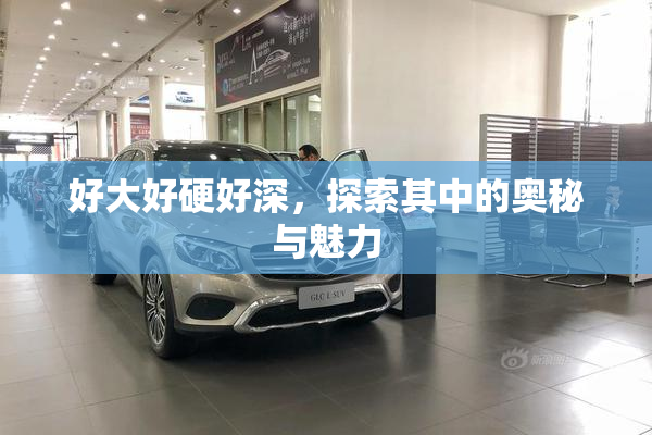 好大好硬好深，探索其中的奥秘与魅力
