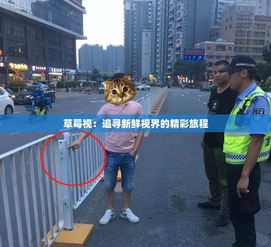 草莓视：追寻新鲜视界的精彩旅程
