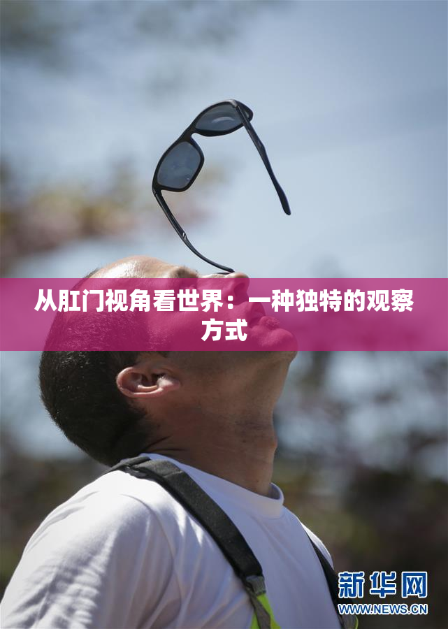 从肛门视角看世界：一种独特的观察方式